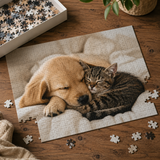 Custom Photo Puzzle | Personalized Jigsaw Puzzle (300, 500 & 1000 Pieces)